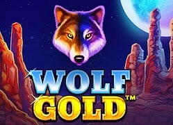 Wolf G 8888 Casino Game  8888 Casino Online
