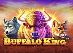 Buffalo King 8888 Casino Slot  8888 Casino Online
