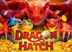 Dragon Hatch 8888 Casino Game  8888 Casino Online
